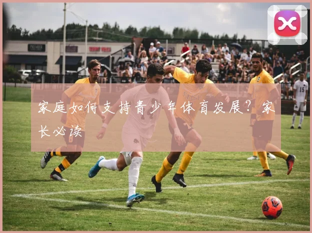 家庭如何支持青少年体育发展？家长必读